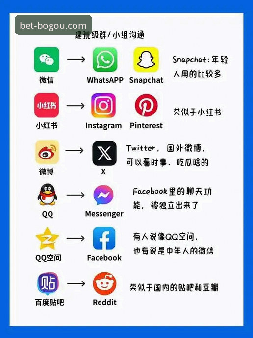 博狗网APP官方下载与手机网页版对比：哪个更适合你的移动端体验？